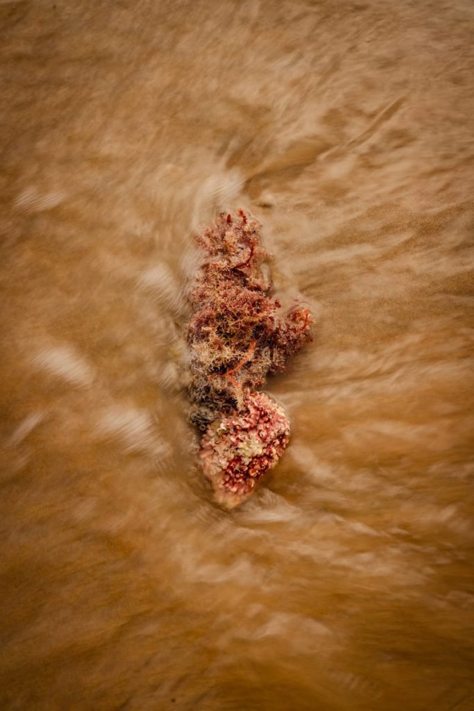 a red object floating on top of a body of water